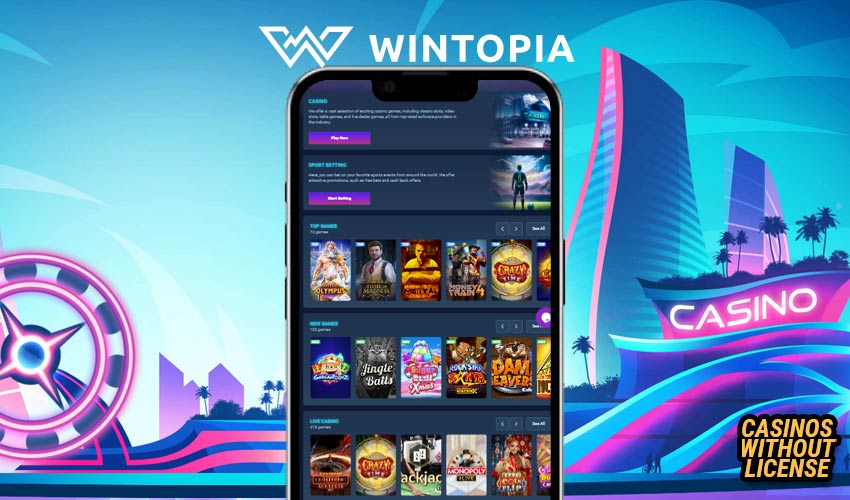 Mobile gaming at Wintopia