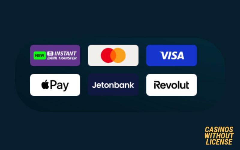 Rich Moose Casino Payment Methods